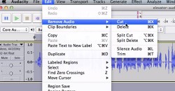 Narration Editing