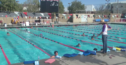 Swim Team