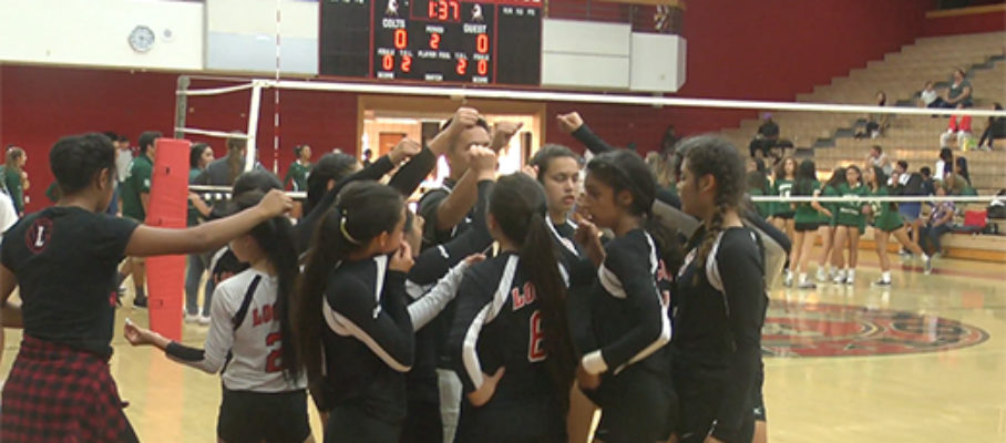 2014 Girls Volleyball