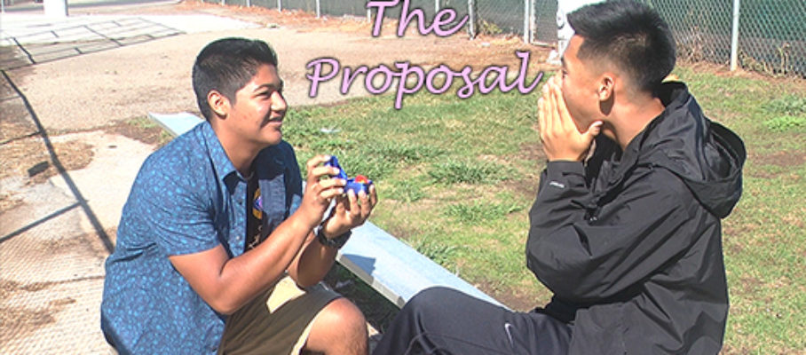 The Proposal